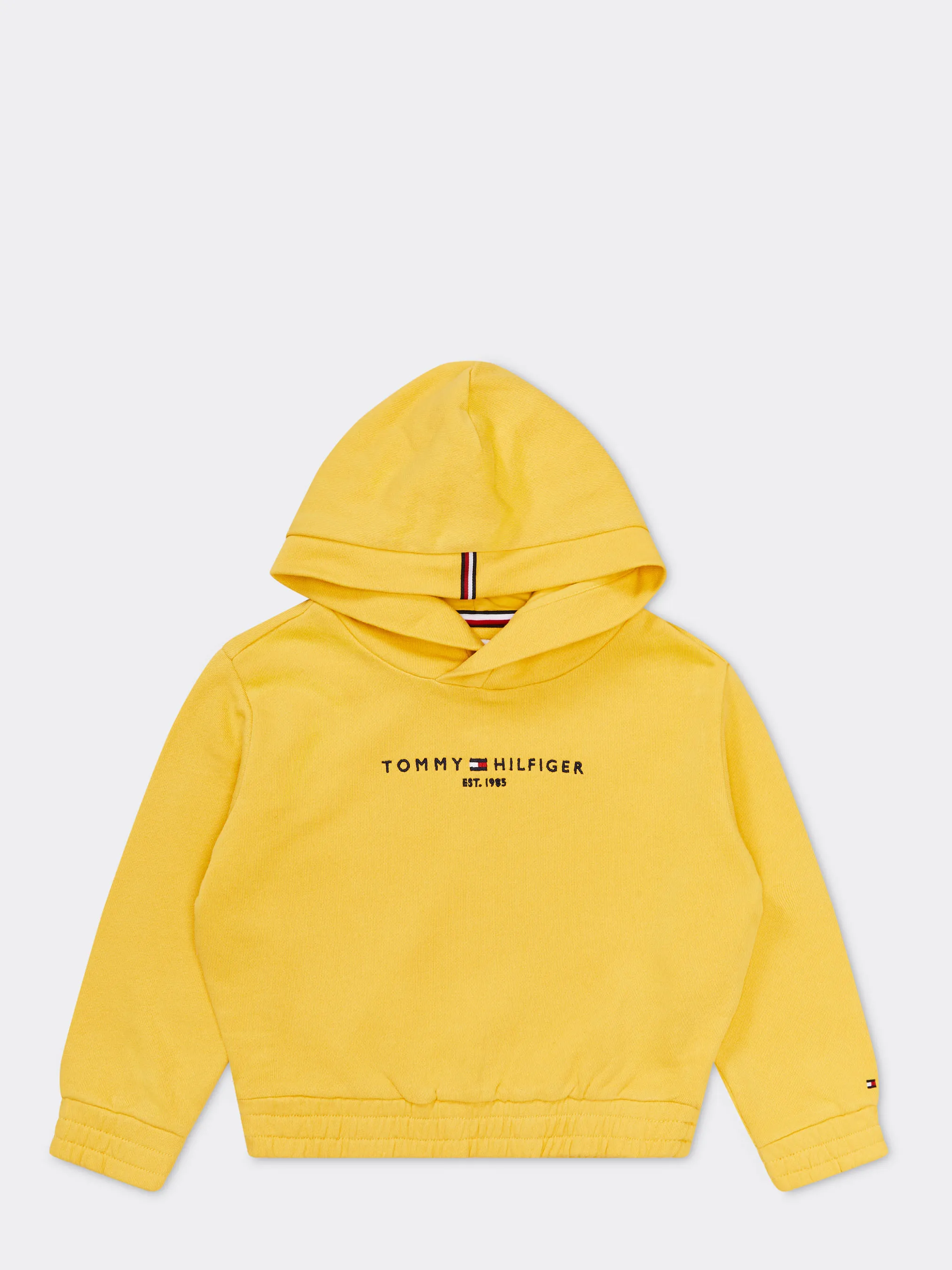 Essential Logo Hoodie | Hoodies | Tommy Hilfiger